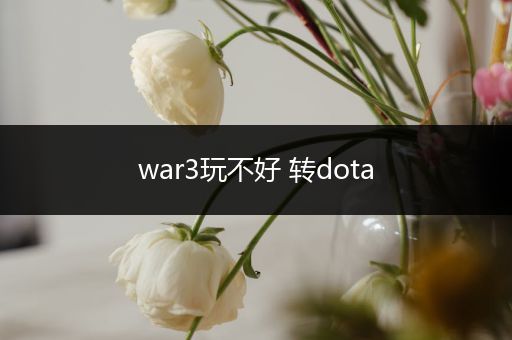 war3玩不好 转dota