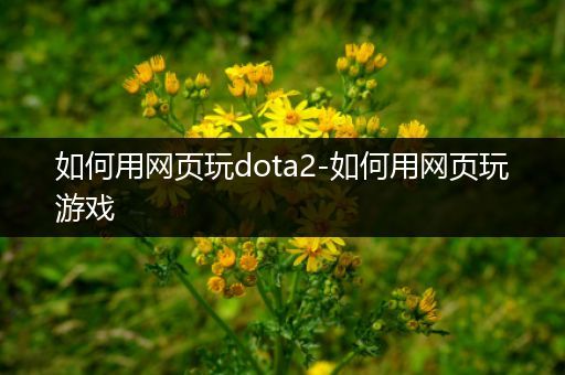 如何用网页玩dota2-如何用网页玩游戏