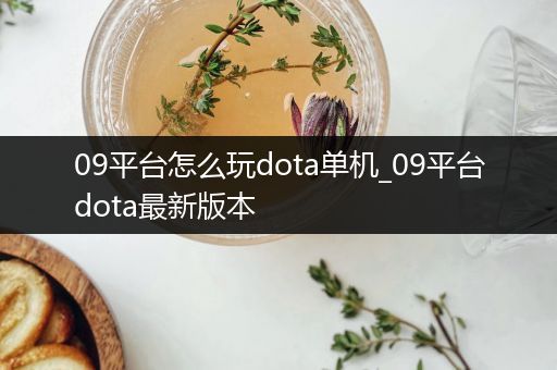 09平台怎么玩dota单机_09平台dota最新版本