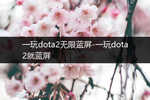 一玩dota2无限蓝屏-一玩dota2就蓝屏