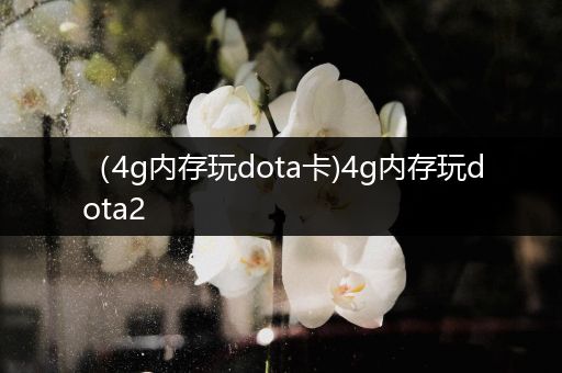 （4g内存玩dota卡)4g内存玩dota2