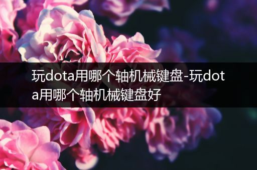 玩dota用哪个轴机械键盘-玩dota用哪个轴机械键盘好