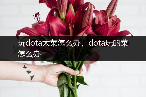 玩dota太菜怎么办，dota玩的菜怎么办