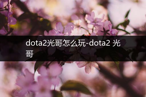 dota2光哥怎么玩-dota2 光哥