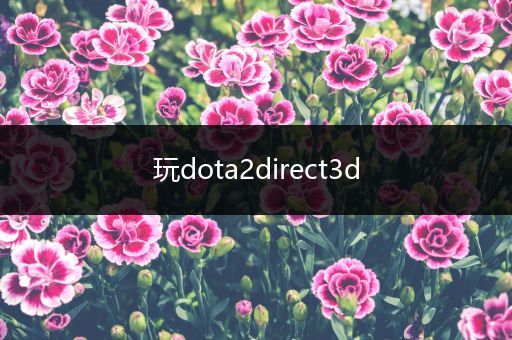 玩dota2direct3d