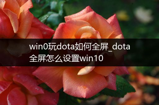 win0玩dota如何全屏_dota全屏怎么设置win10