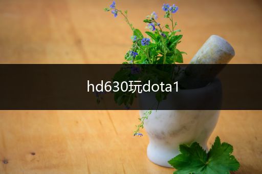 hd630玩dota1
