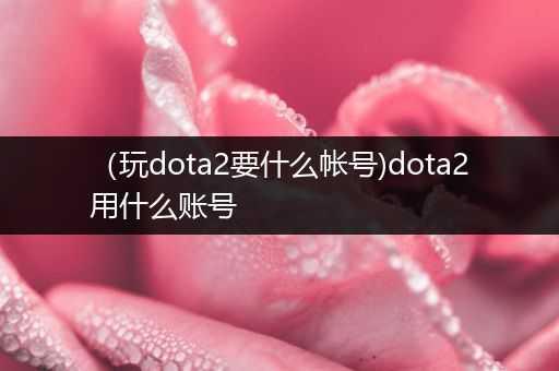 （玩dota2要什么帐号)dota2用什么账号