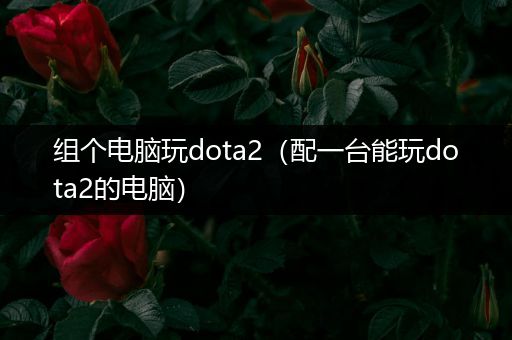 组个电脑玩dota2（配一台能玩dota2的电脑）