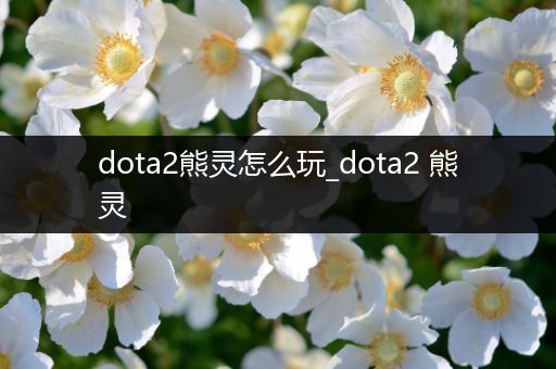 dota2熊灵怎么玩_dota2 熊灵