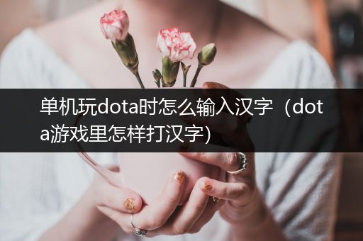 单机玩dota时怎么输入汉字（dota游戏里怎样打汉字）