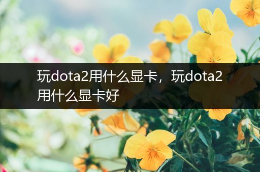 玩dota2用什么显卡，玩dota2用什么显卡好