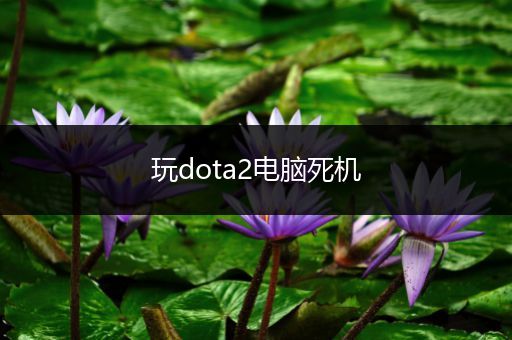 玩dota2电脑死机