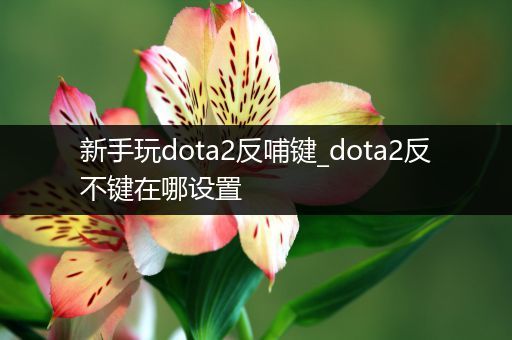 新手玩dota2反哺键_dota2反不键在哪设置