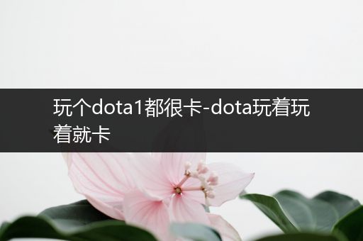 玩个dota1都很卡-dota玩着玩着就卡