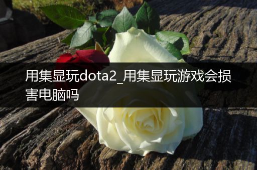 用集显玩dota2_用集显玩游戏会损害电脑吗