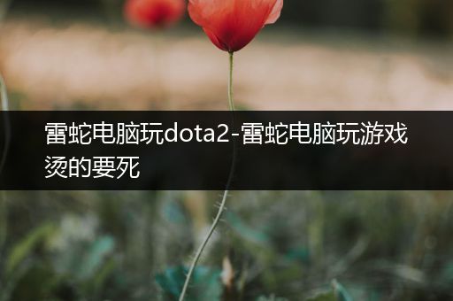 雷蛇电脑玩dota2-雷蛇电脑玩游戏烫的要死