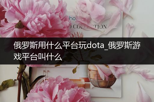 俄罗斯用什么平台玩dota_俄罗斯游戏平台叫什么