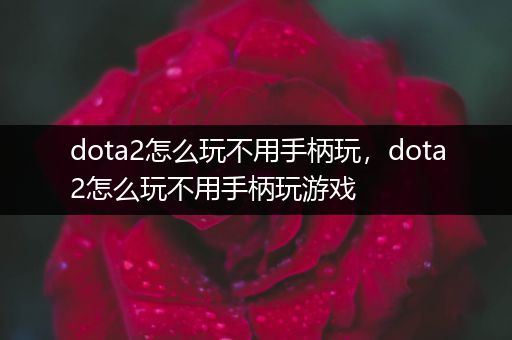 dota2怎么玩不用手柄玩，dota2怎么玩不用手柄玩游戏