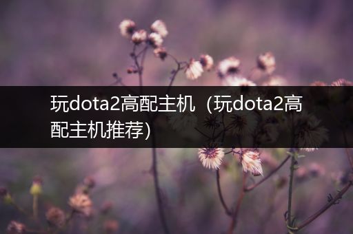 玩dota2高配主机（玩dota2高配主机推荐）