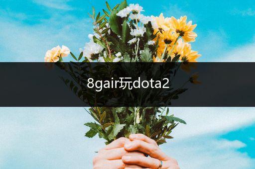8gair玩dota2