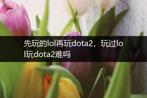 先玩的lol再玩dota2，玩过lol玩dota2难吗
