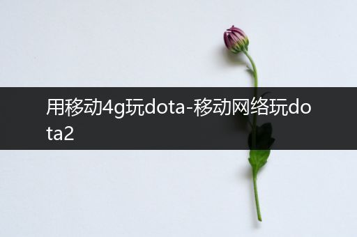 用移动4g玩dota-移动网络玩dota2