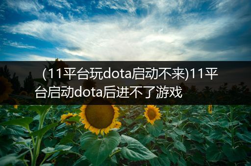 （11平台玩dota启动不来)11平台启动dota后进不了游戏