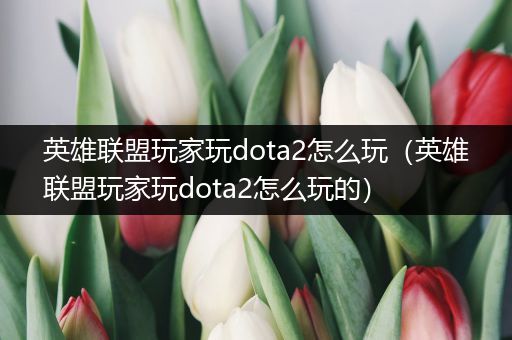 英雄联盟玩家玩dota2怎么玩（英雄联盟玩家玩dota2怎么玩的）