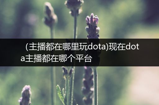 （主播都在哪里玩dota)现在dota主播都在哪个平台