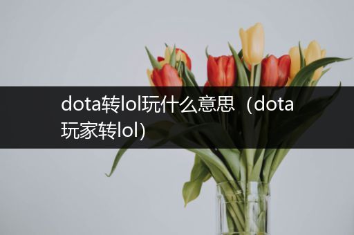 dota转lol玩什么意思（dota玩家转lol）