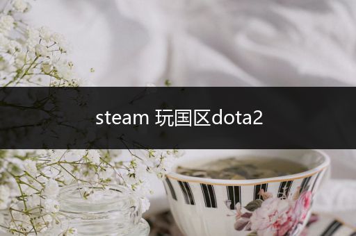 steam 玩国区dota2