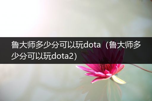 鲁大师多少分可以玩dota（鲁大师多少分可以玩dota2）