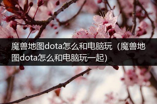 魔兽地图dota怎么和电脑玩（魔兽地图dota怎么和电脑玩一起）