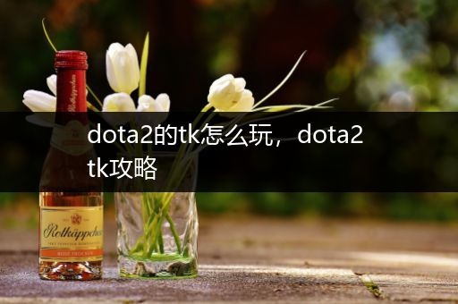 dota2的tk怎么玩，dota2 tk攻略