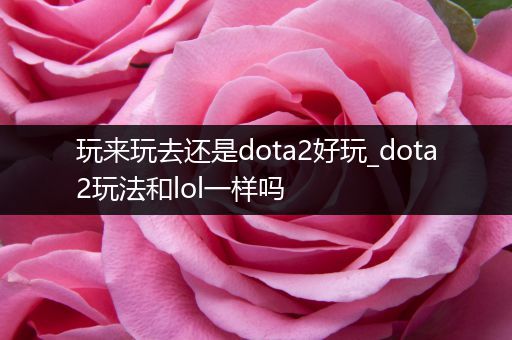 玩来玩去还是dota2好玩_dota2玩法和lol一样吗