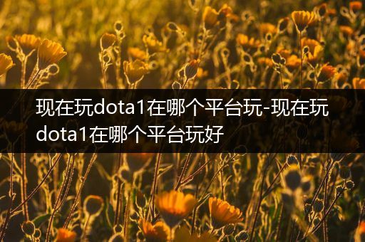 现在玩dota1在哪个平台玩-现在玩dota1在哪个平台玩好