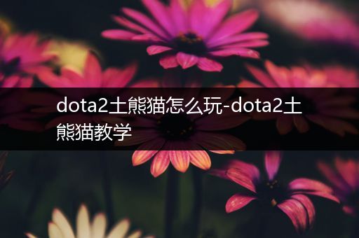 dota2土熊猫怎么玩-dota2土熊猫教学
