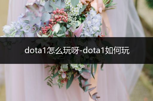 dota1怎么玩呀-dota1如何玩