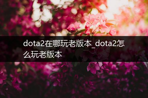 dota2在哪玩老版本_dota2怎么玩老版本