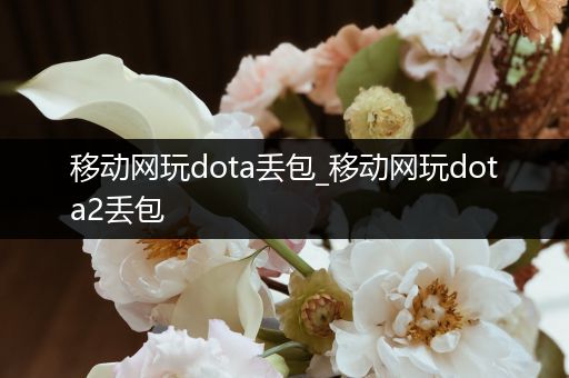 移动网玩dota丢包_移动网玩dota2丢包