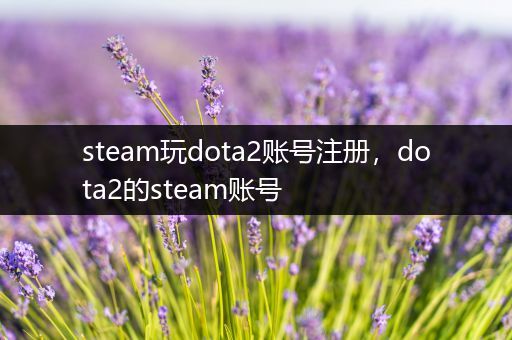 steam玩dota2账号注册，dota2的steam账号