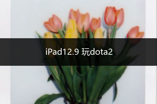 iPad12.9 玩dota2