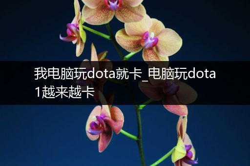我电脑玩dota就卡_电脑玩dota1越来越卡