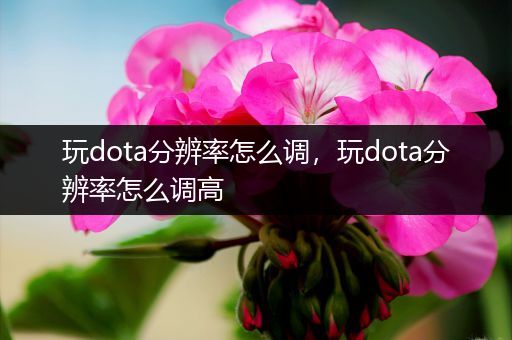 玩dota分辨率怎么调，玩dota分辨率怎么调高