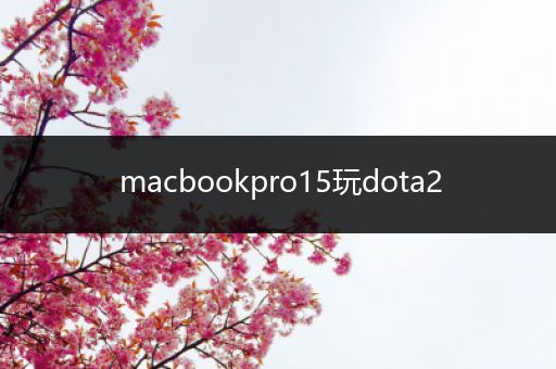 macbookpro15玩dota2