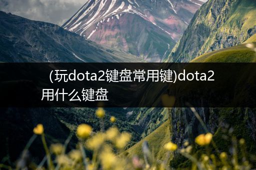 （玩dota2键盘常用键)dota2用什么键盘