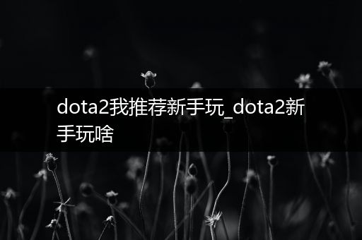 dota2我推荐新手玩_dota2新手玩啥