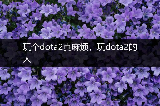 玩个dota2真麻烦，玩dota2的人