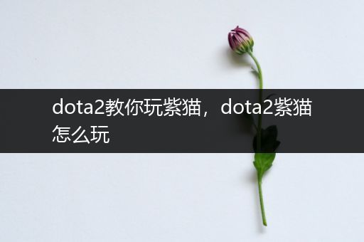 dota2教你玩紫猫，dota2紫猫怎么玩